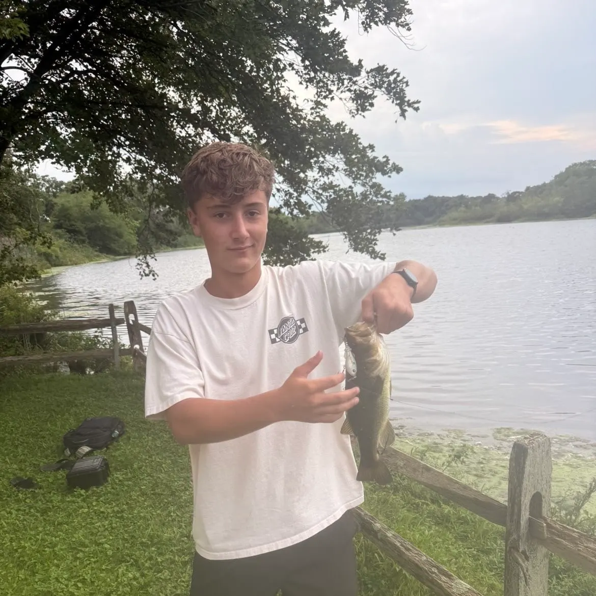 Largemouth bass caught on Fishbrain