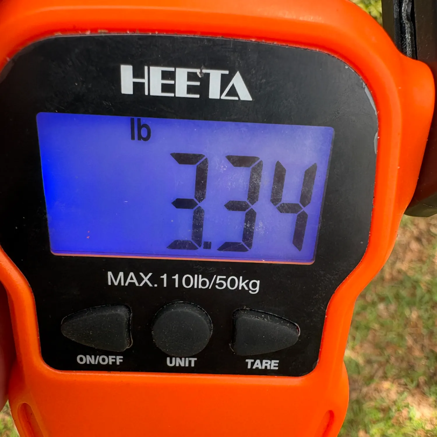 The most recent Butterfly peacock bass catches on Fishbrain