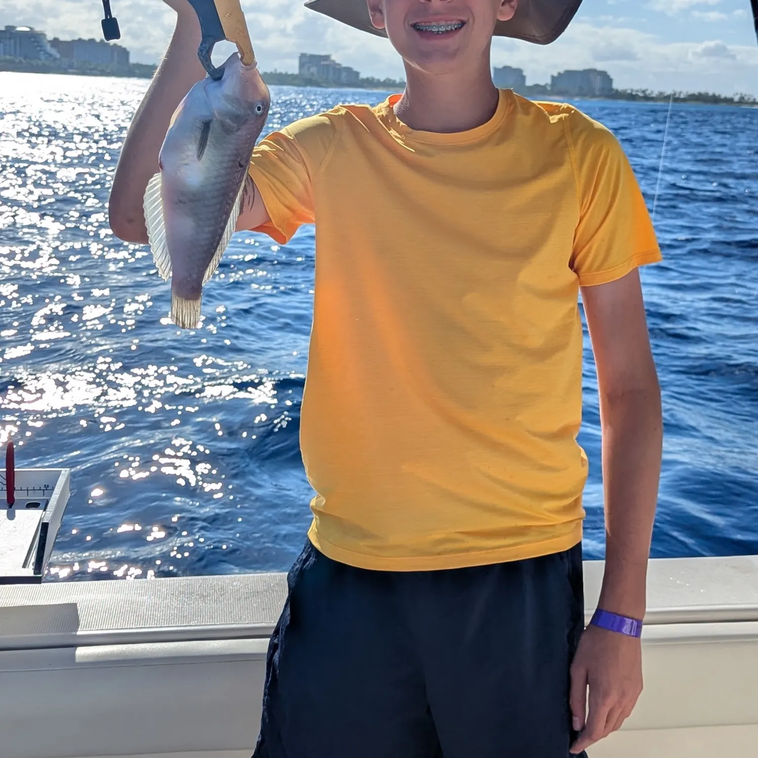 The most recent Peacock wrasse catches on Fishbrain