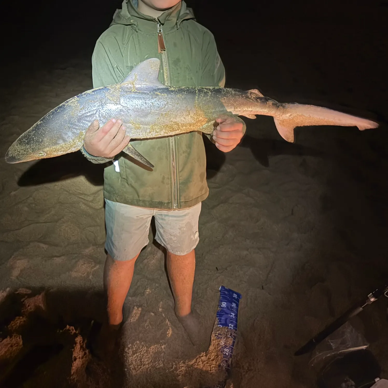 The most recent Copper shark catches on Fishbrain