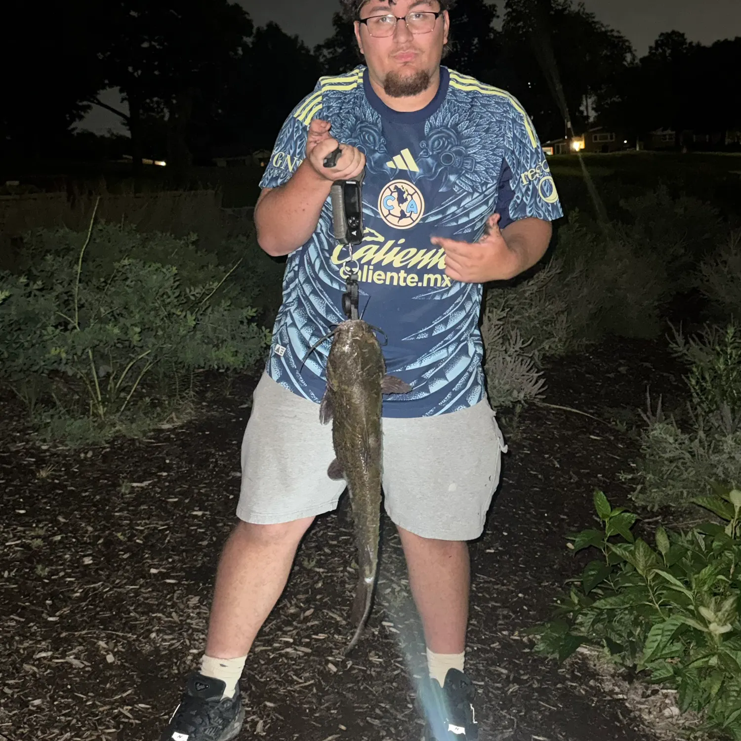 Channel catfish caught on Fishbrain