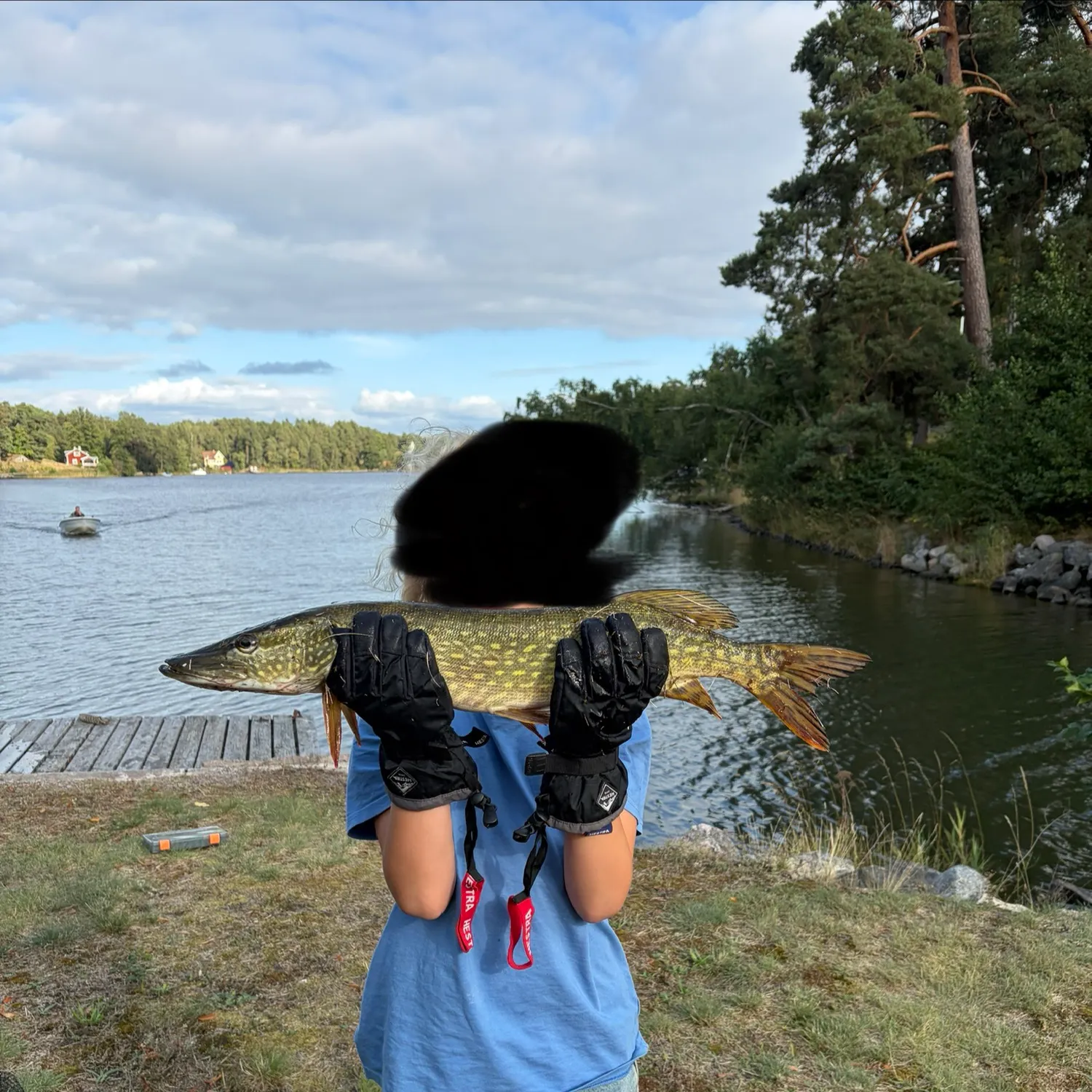 Northern pike caught on Fishbrain