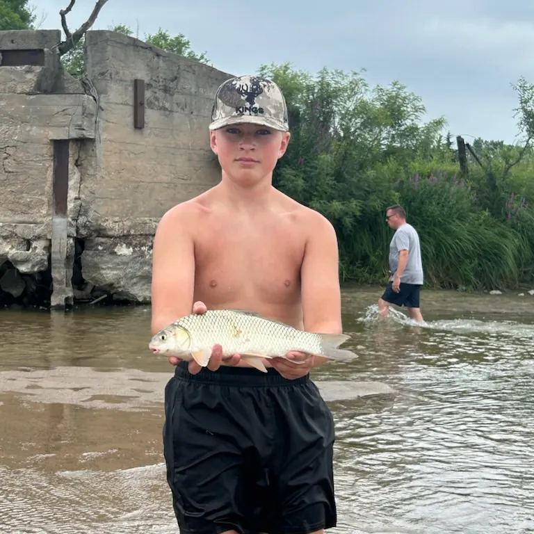The most recent River carpsucker catches on Fishbrain