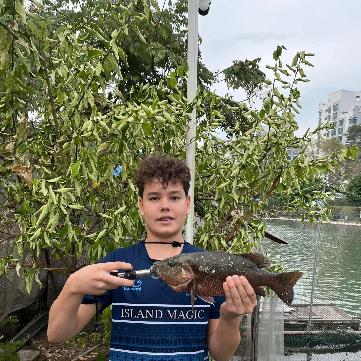 The most recent Mangrove red snapper catches on Fishbrain