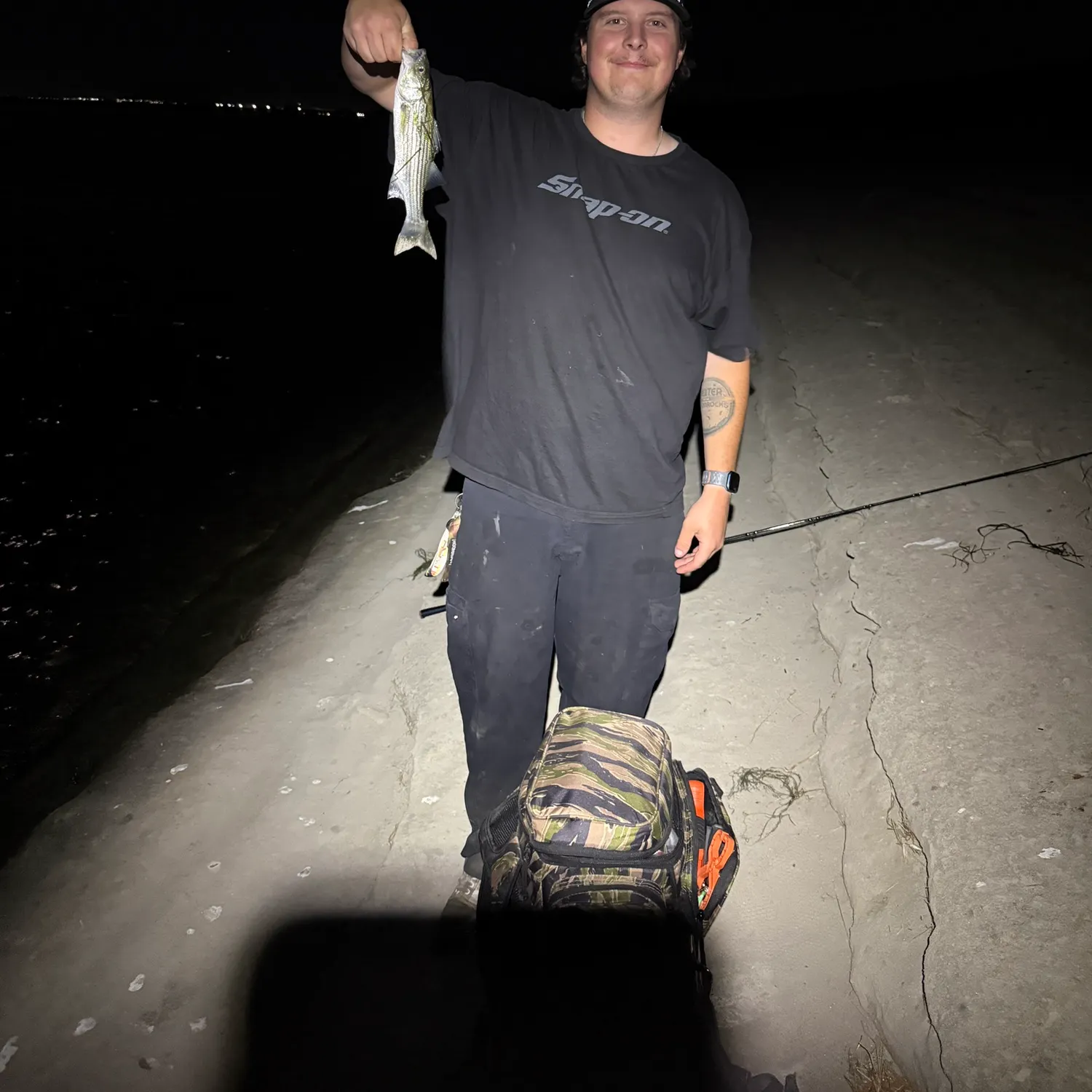 Striped bass caught on Fishbrain