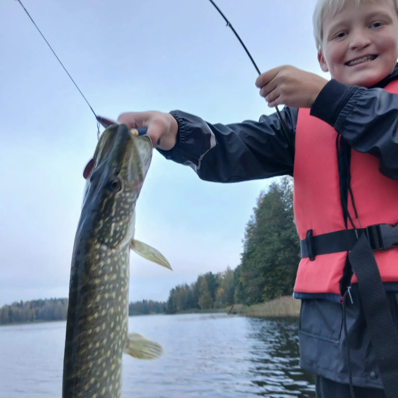 Northern pike caught on Fishbrain