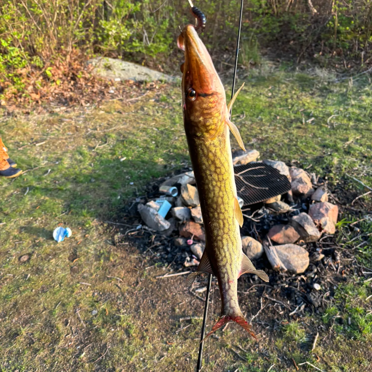 catch