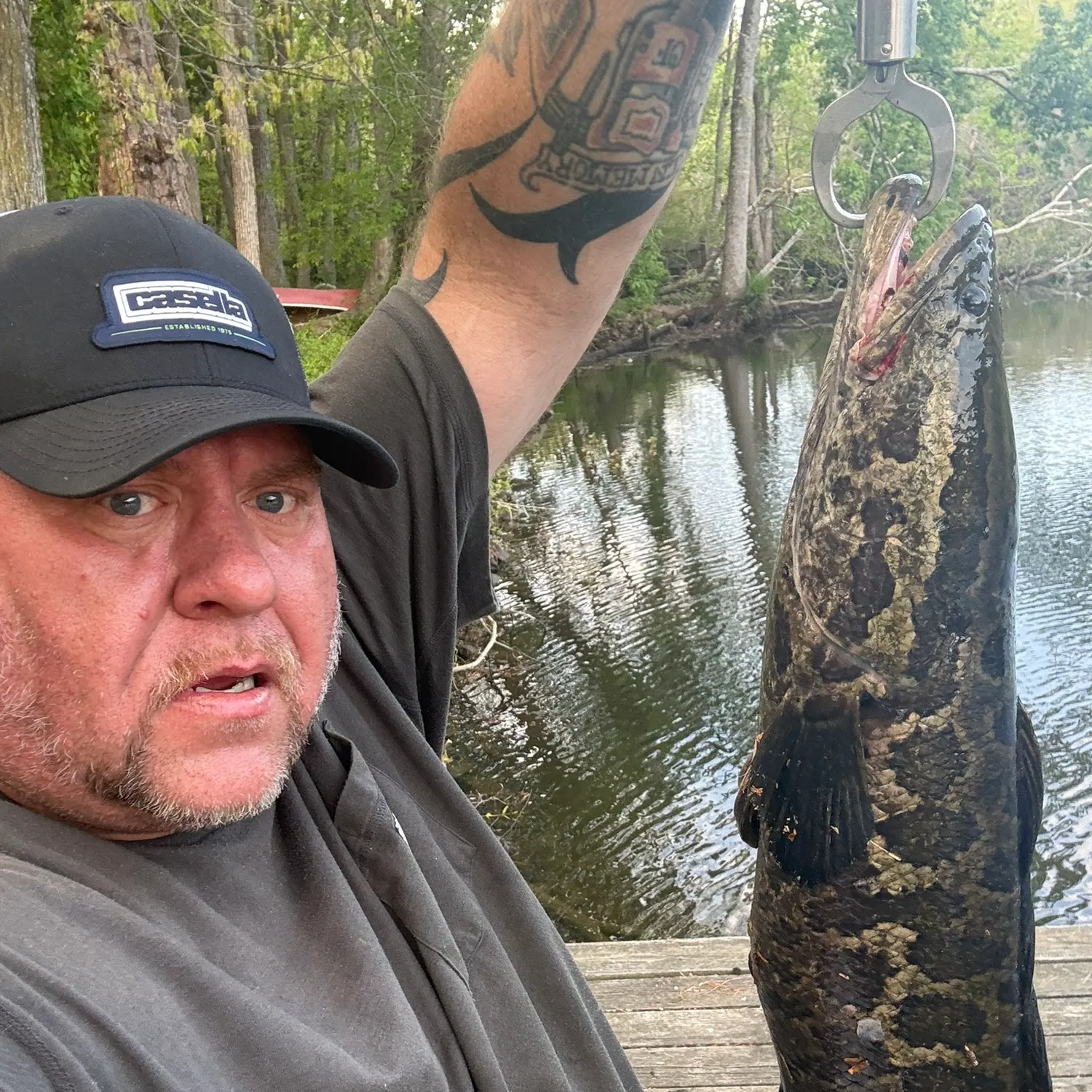 recently logged catches