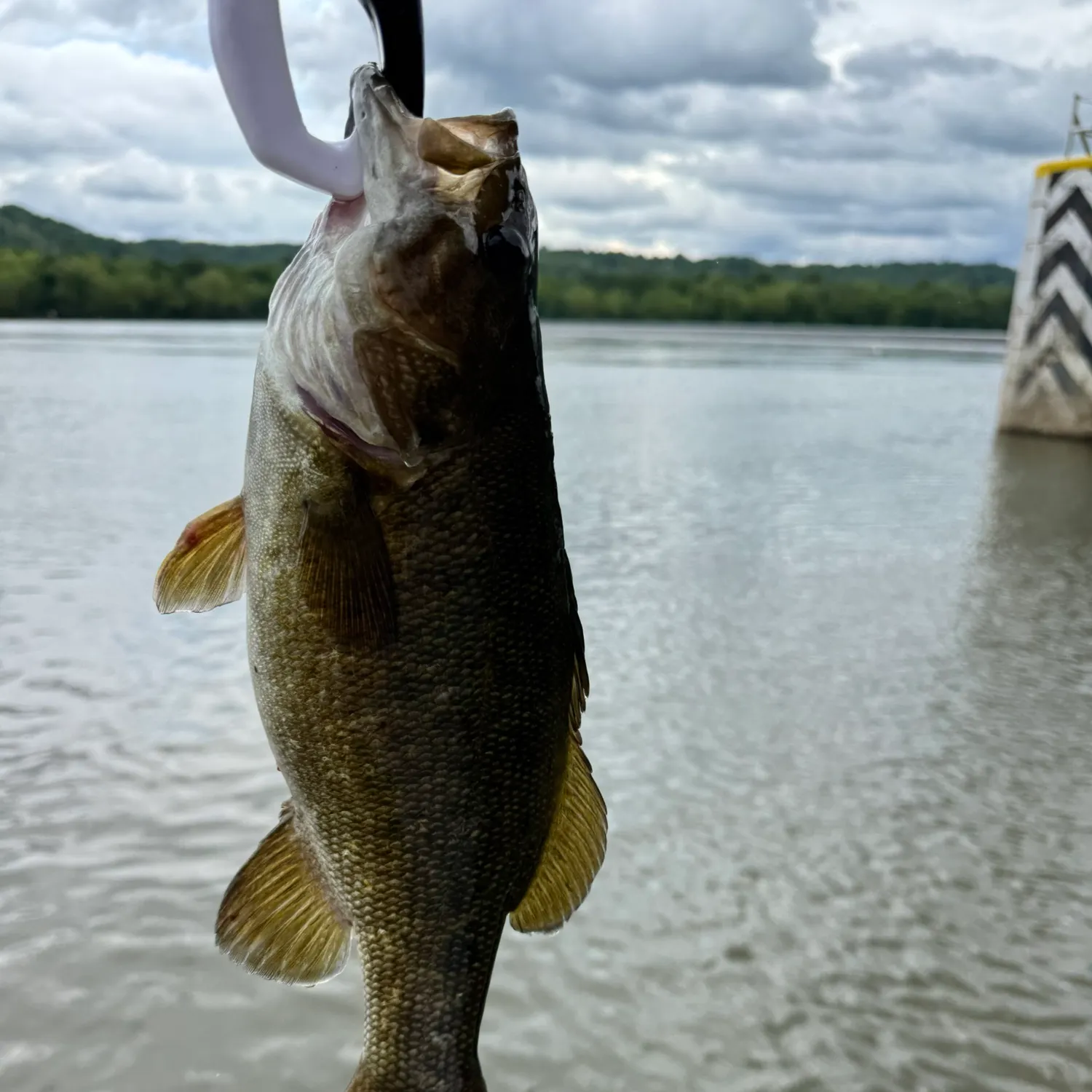 most liked catch image