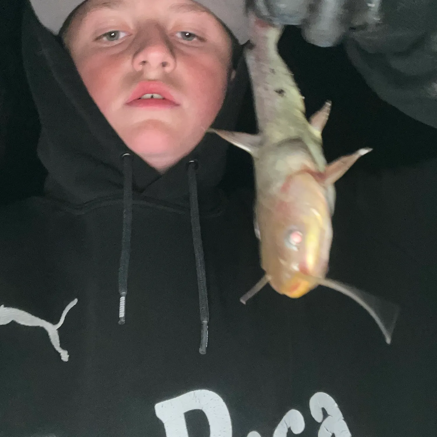 Fish caught on Fishbrain