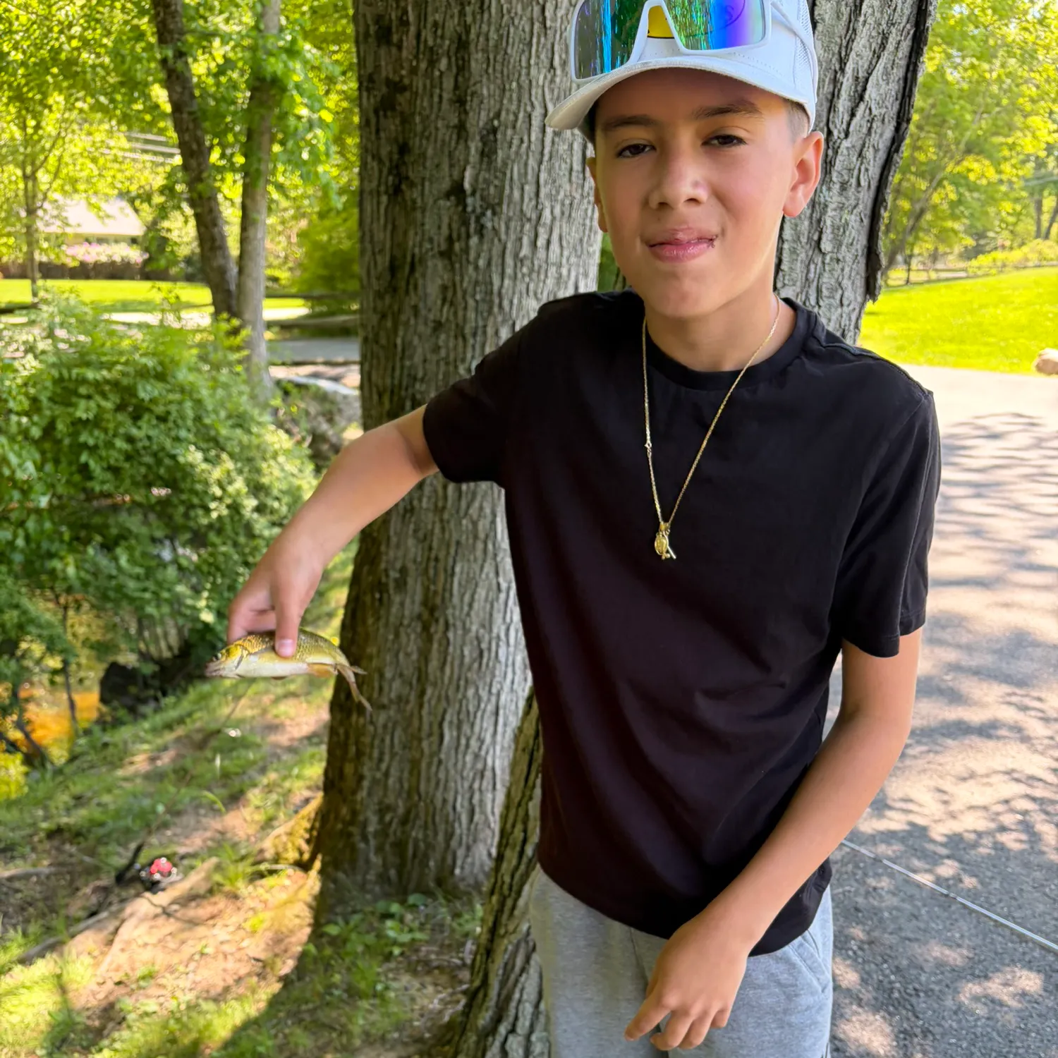 The most recent Golden shiner catches on Fishbrain