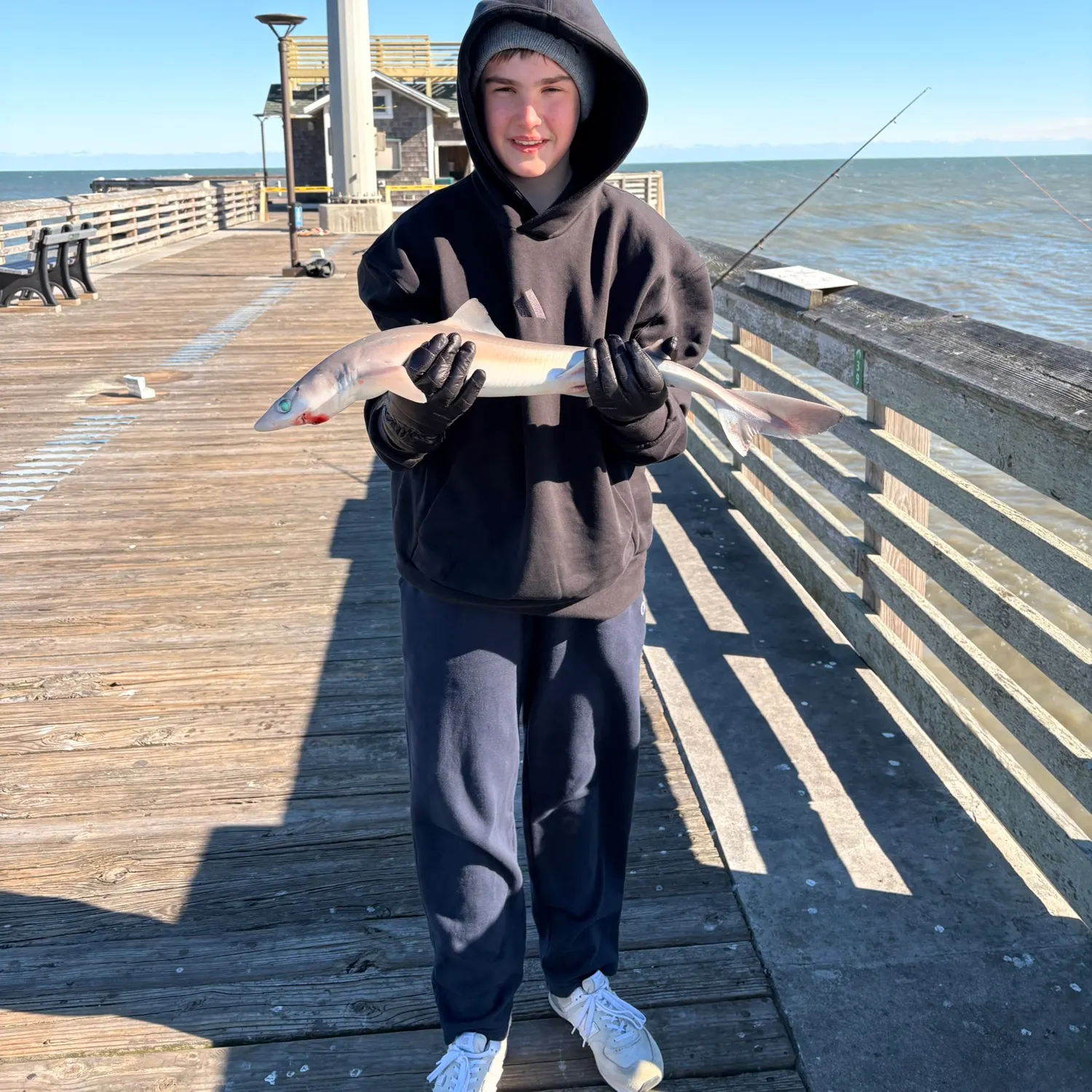 The most recent Piked dogfish catches on Fishbrain