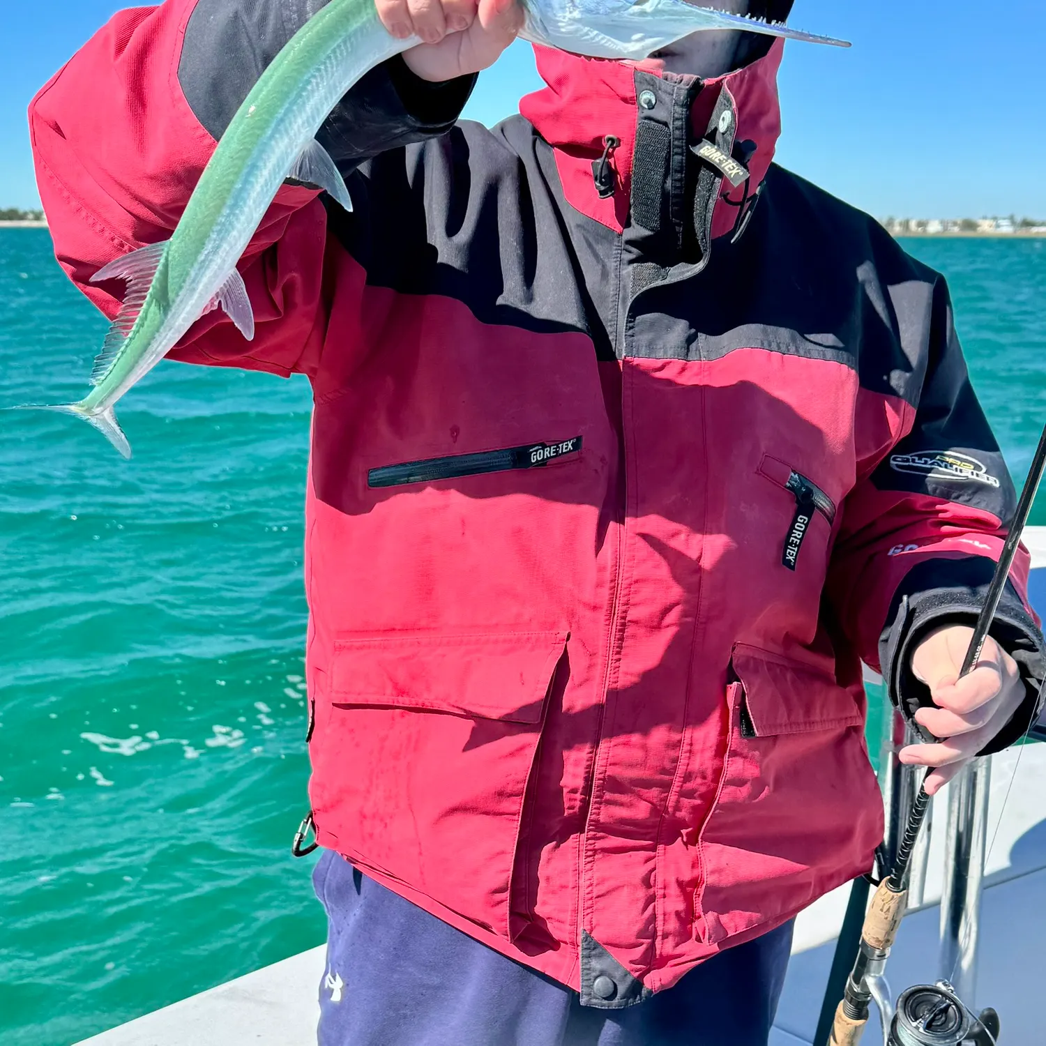 The most recent Hound needlefish catches on Fishbrain