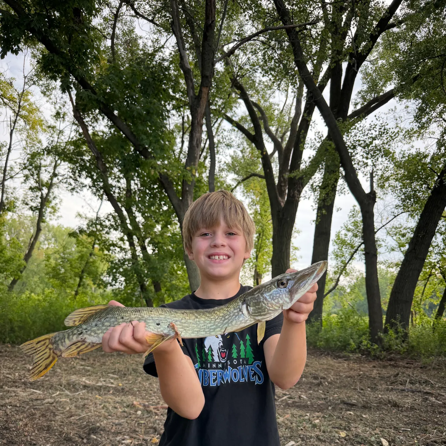 Northern pike caught on Fishbrain