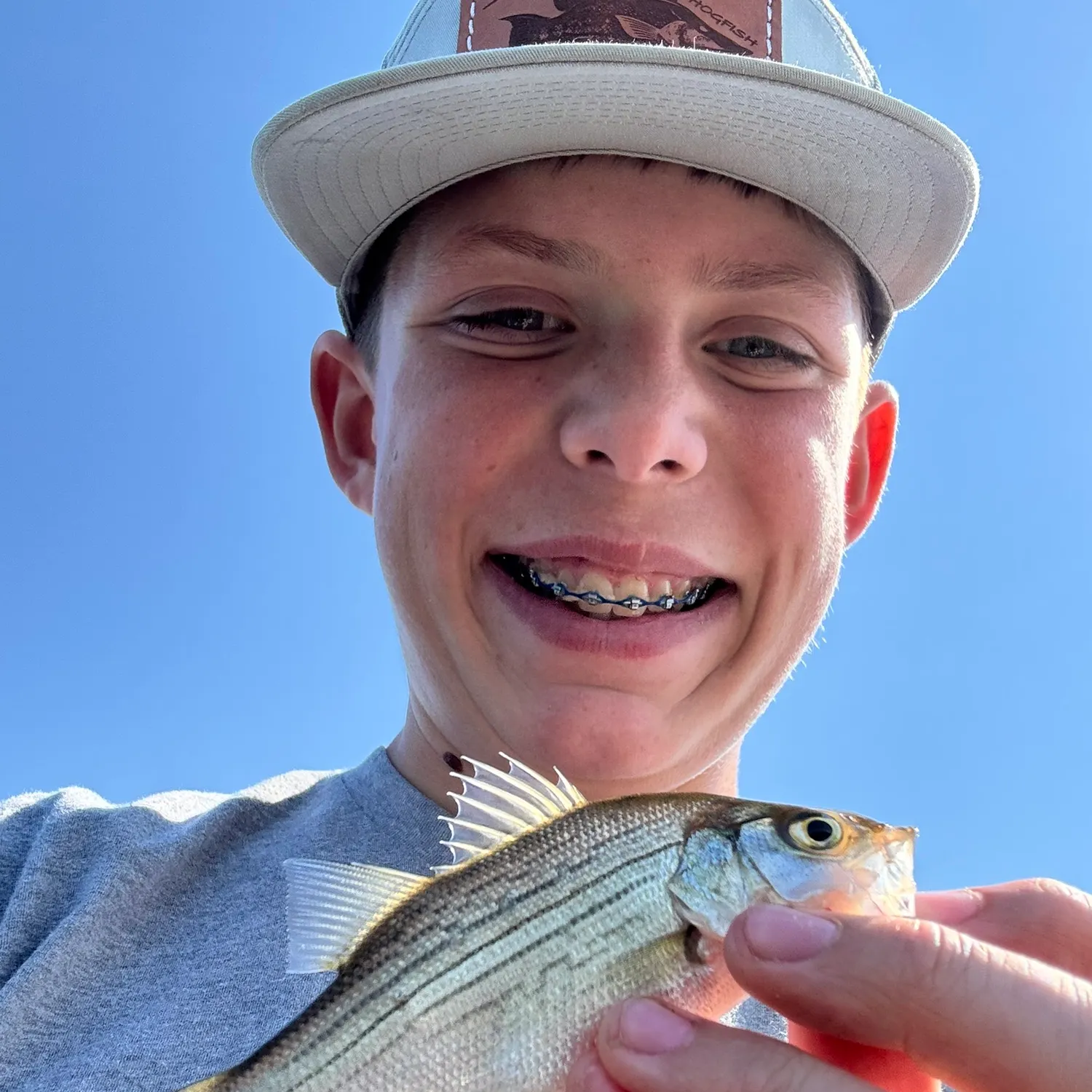 White bass caught on Fishbrain