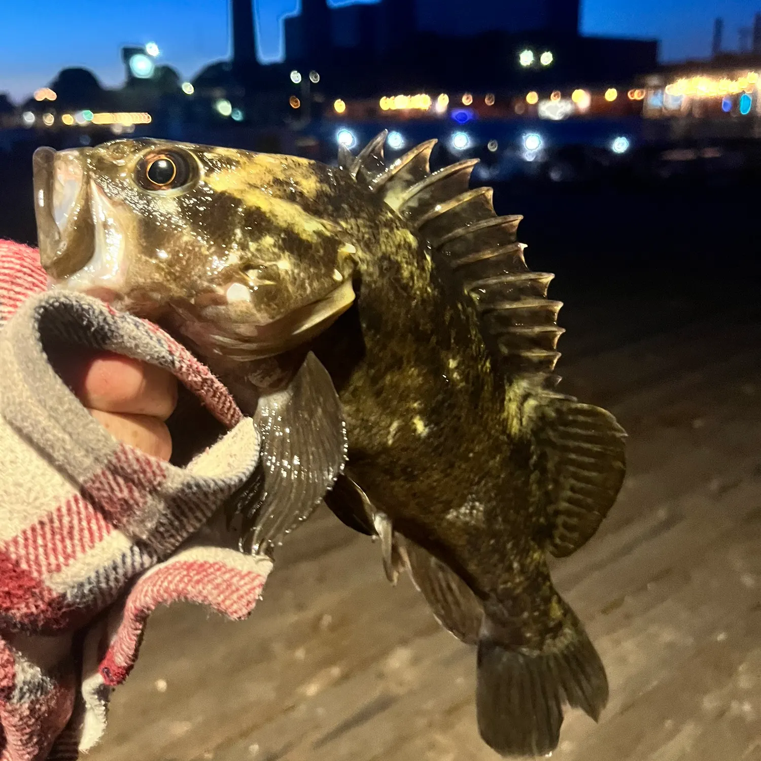 catch