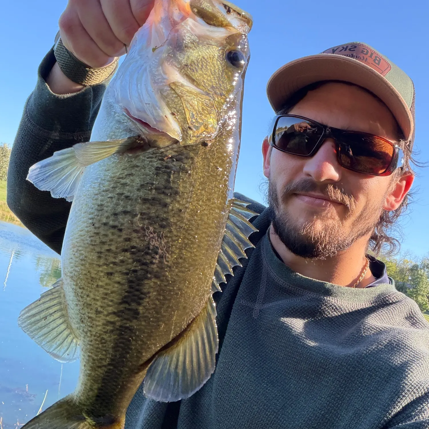 Largemouth bass caught on Fishbrain