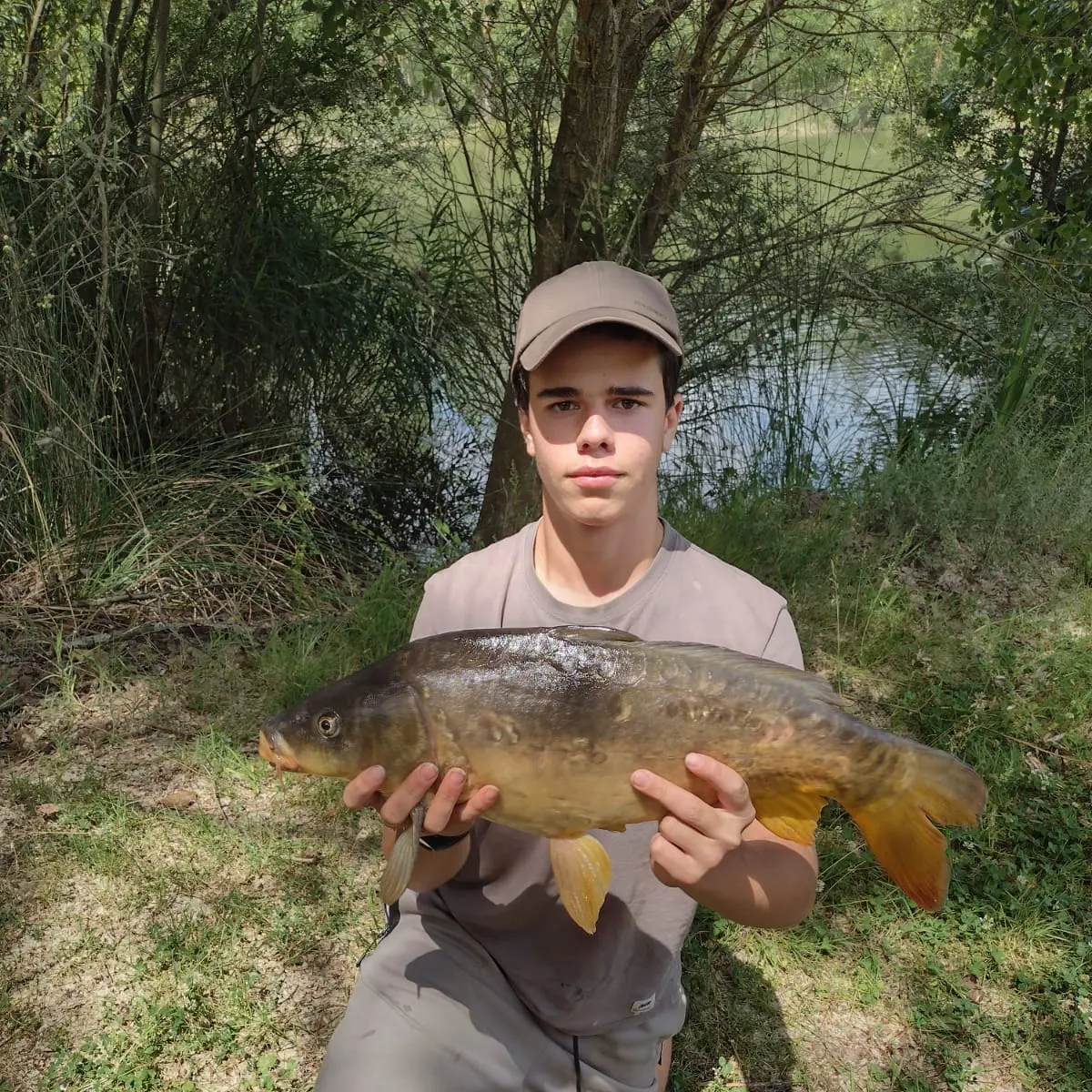 The most recent Mirror carp catches on Fishbrain