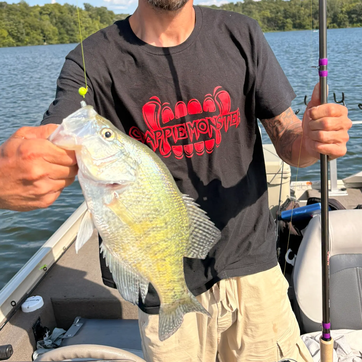 White crappie caught on Fishbrain