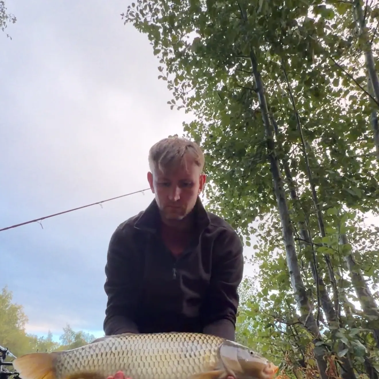 Common carp caught on Fishbrain