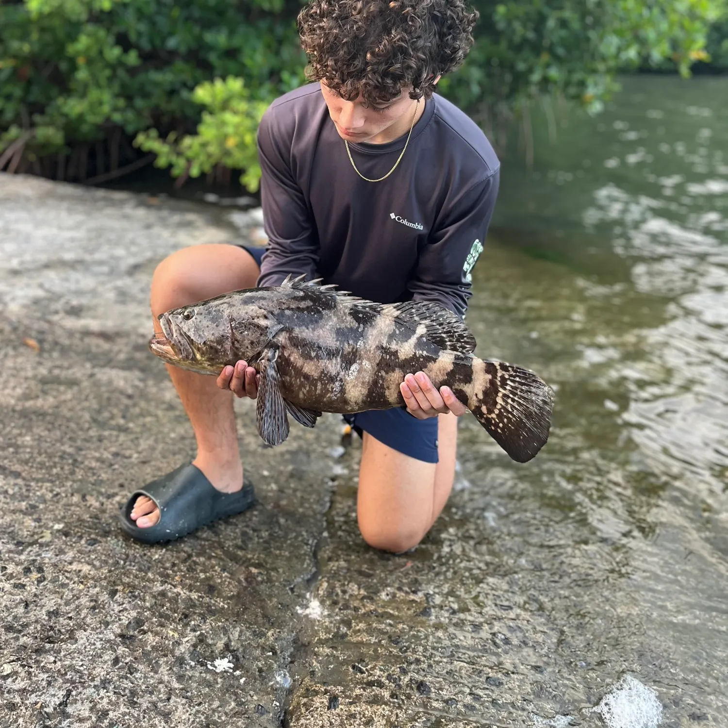The most recent Pacific goliath grouper catches on Fishbrain
