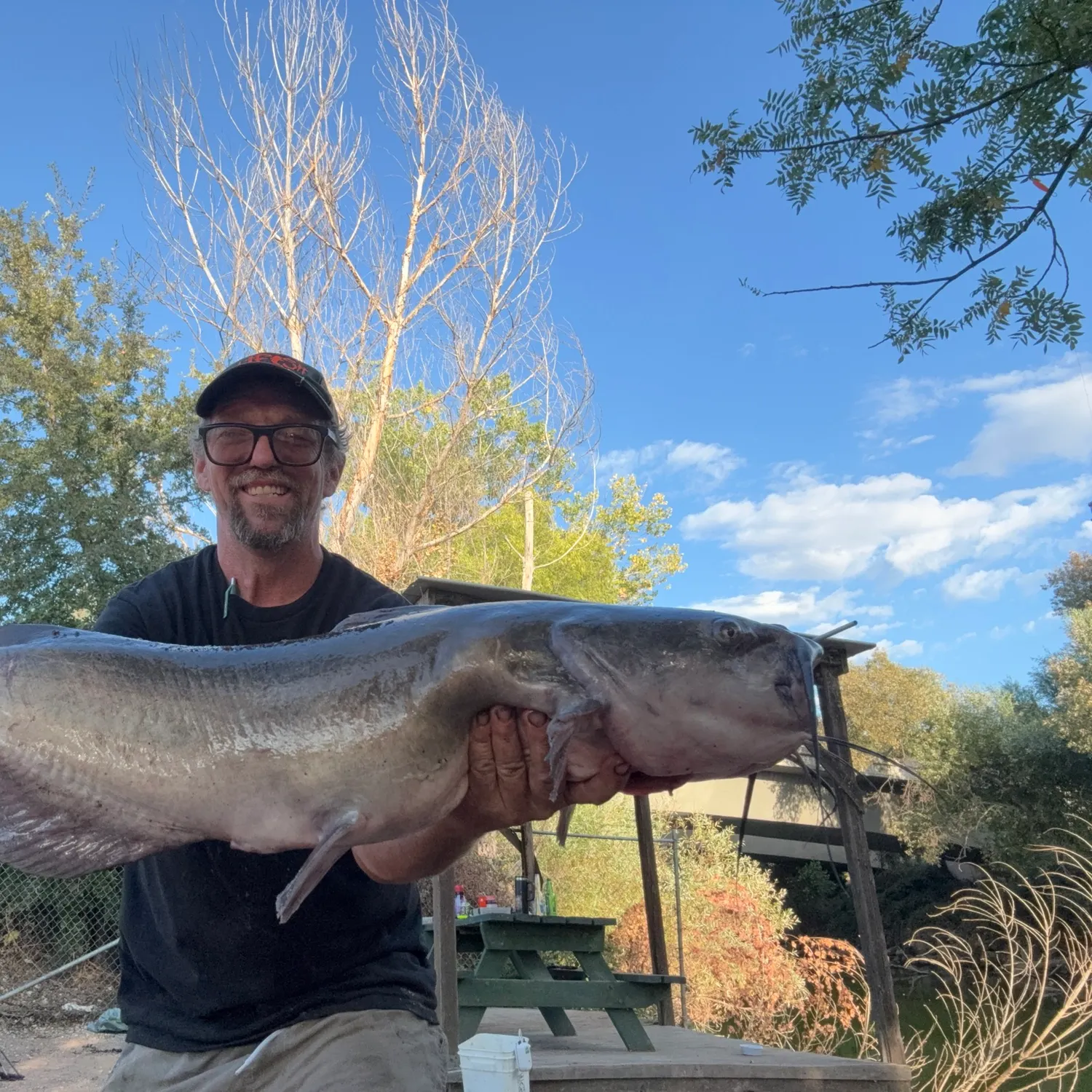 Channel catfish caught on Fishbrain