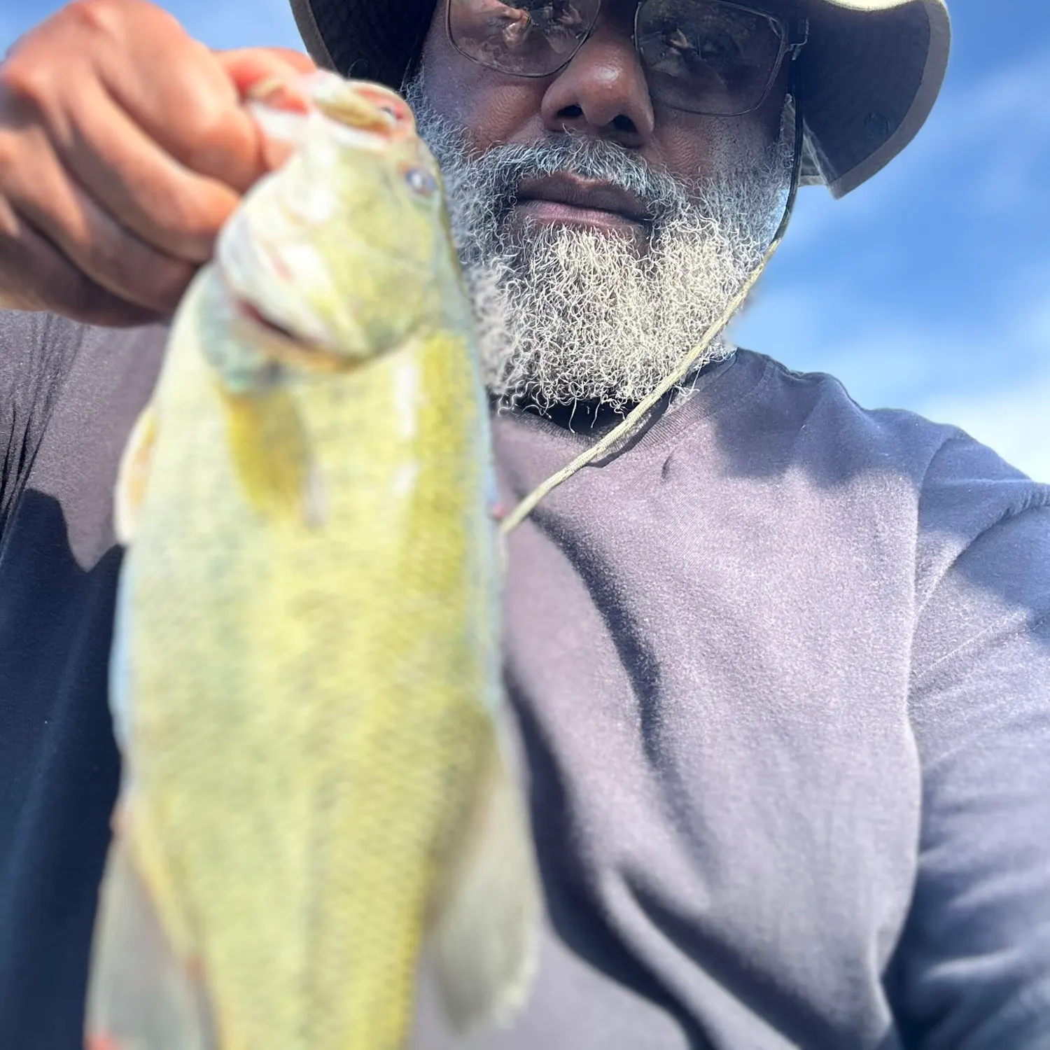 Fish caught on Fishbrain