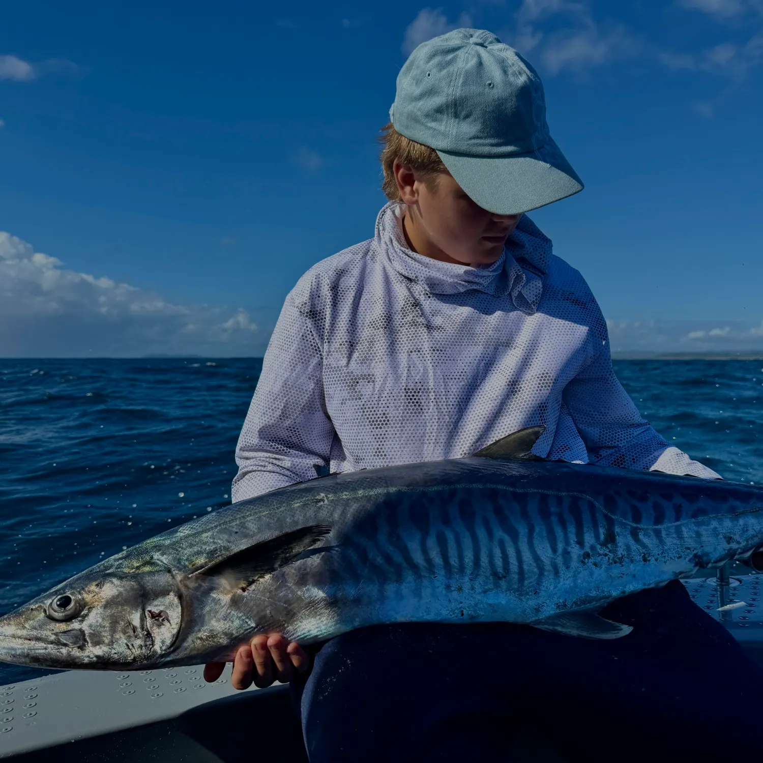 Narrow-barred Spanish mackerel caught on Fishbrain