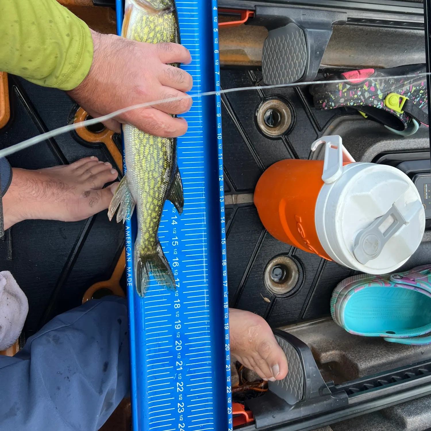 recently logged catches