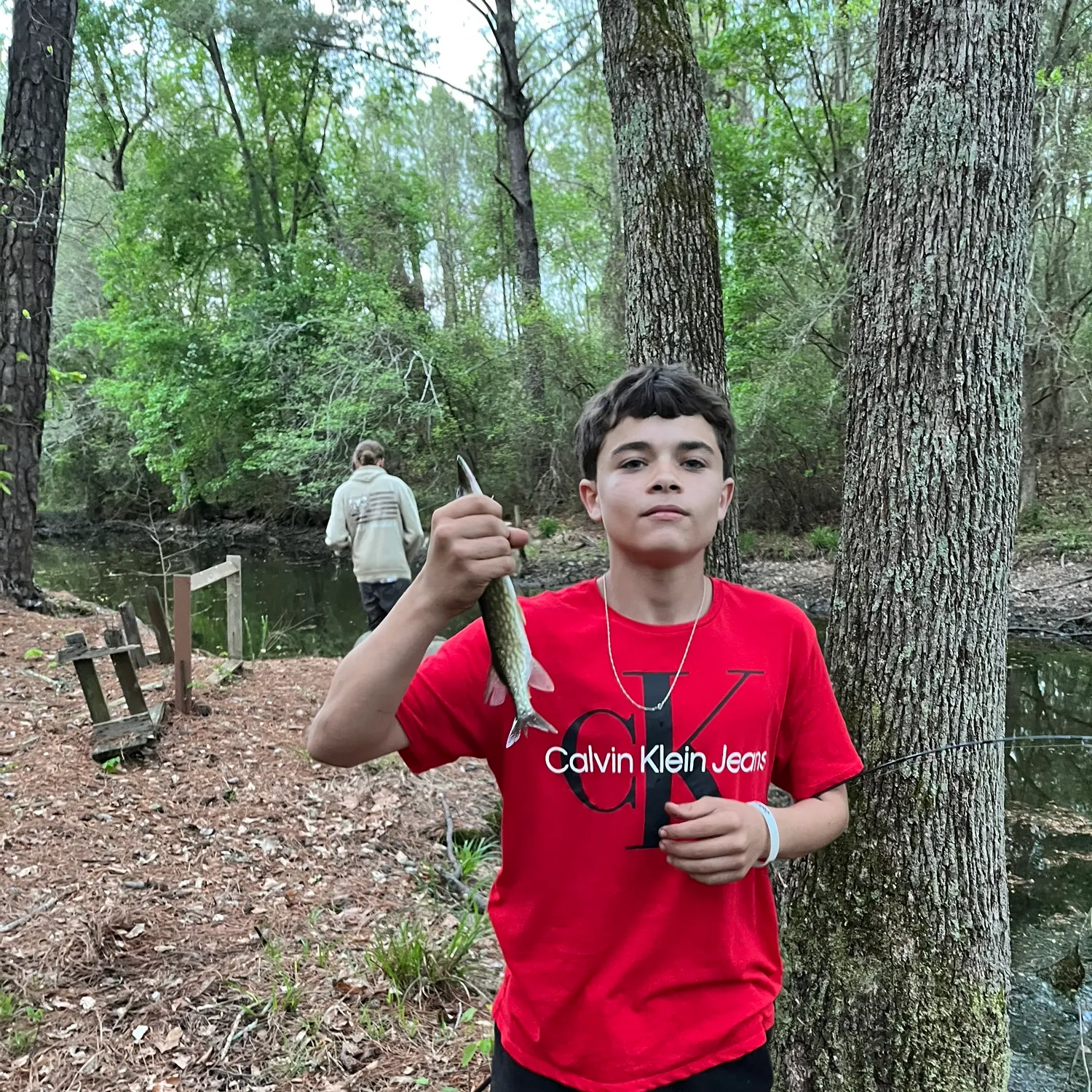 The most recent Hound needlefish catches on Fishbrain