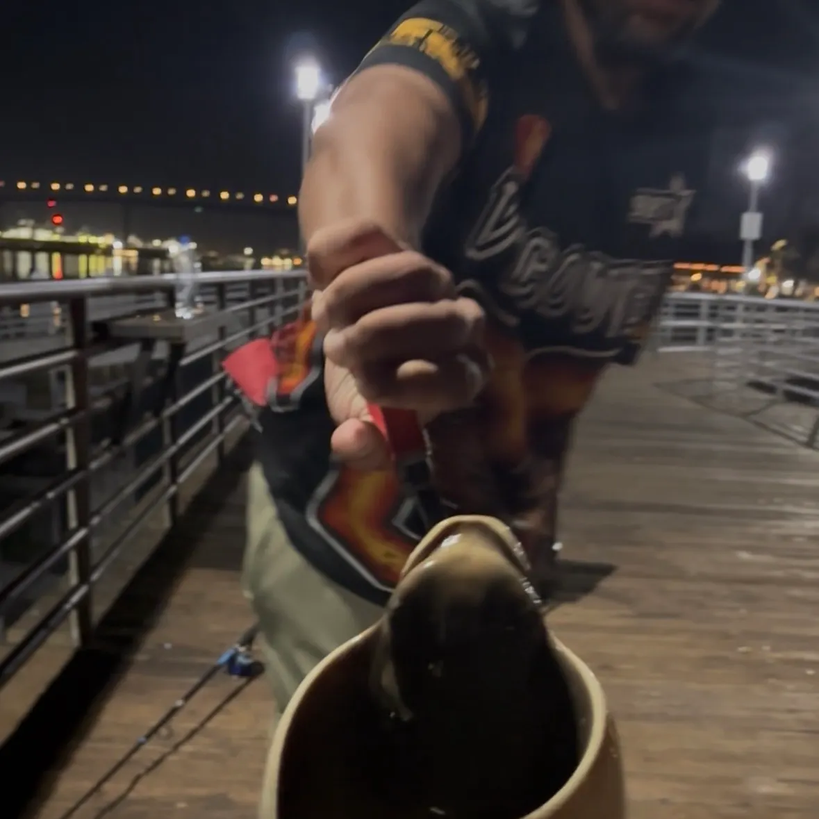 Bat eagle ray caught on Fishbrain