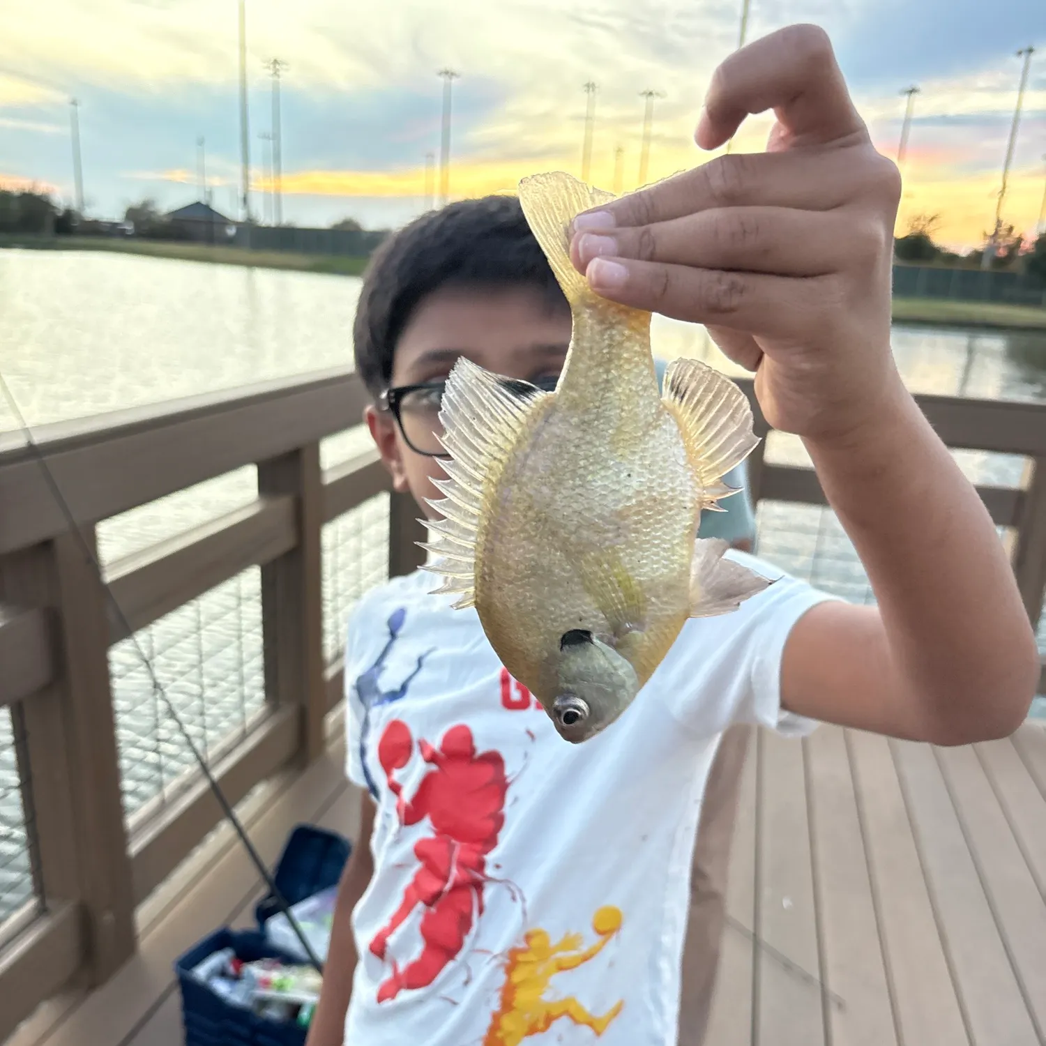 Bluegill caught on Fishbrain