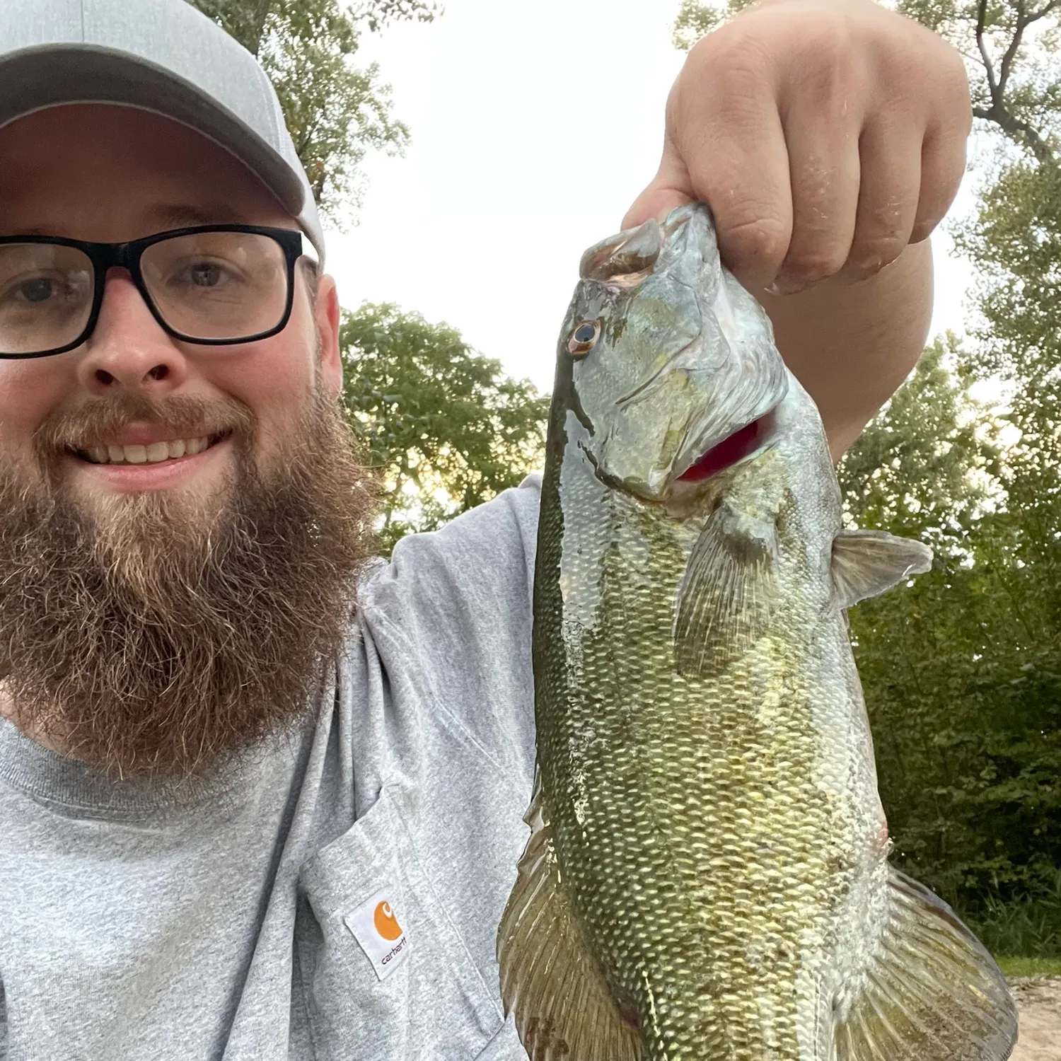 Smallmouth bass caught on Fishbrain