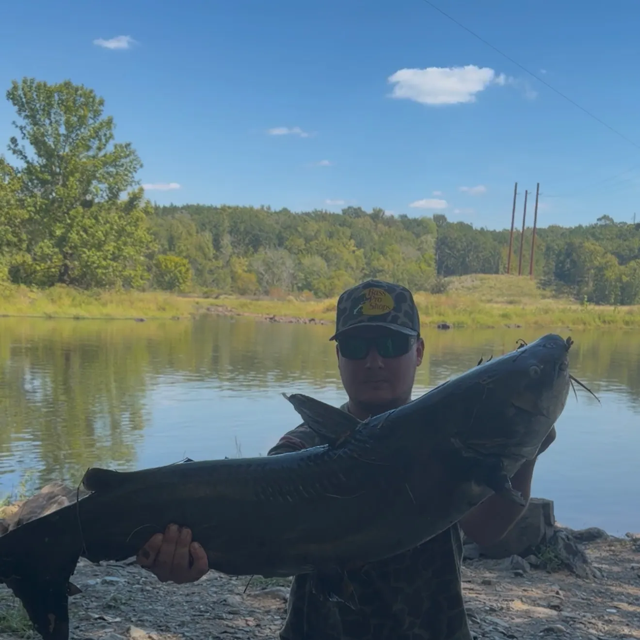Blue catfish caught on Fishbrain