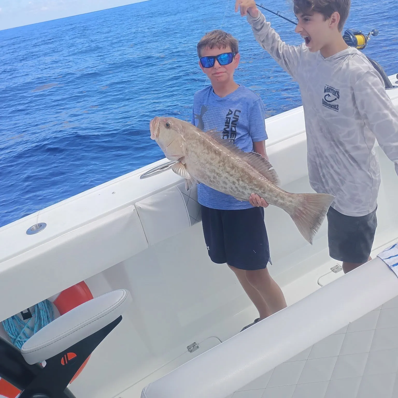 The most recent Gag grouper catches on Fishbrain