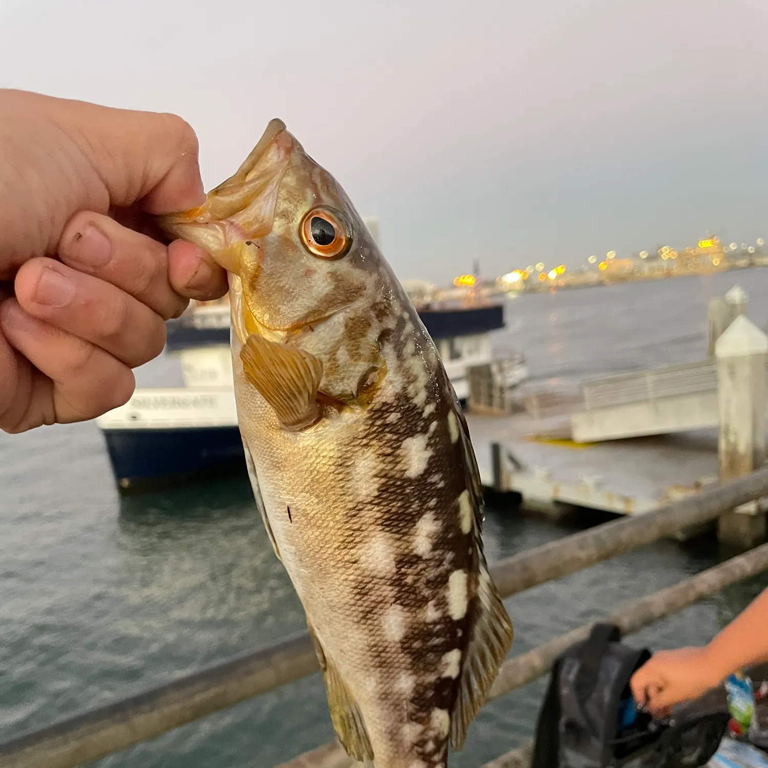 catch