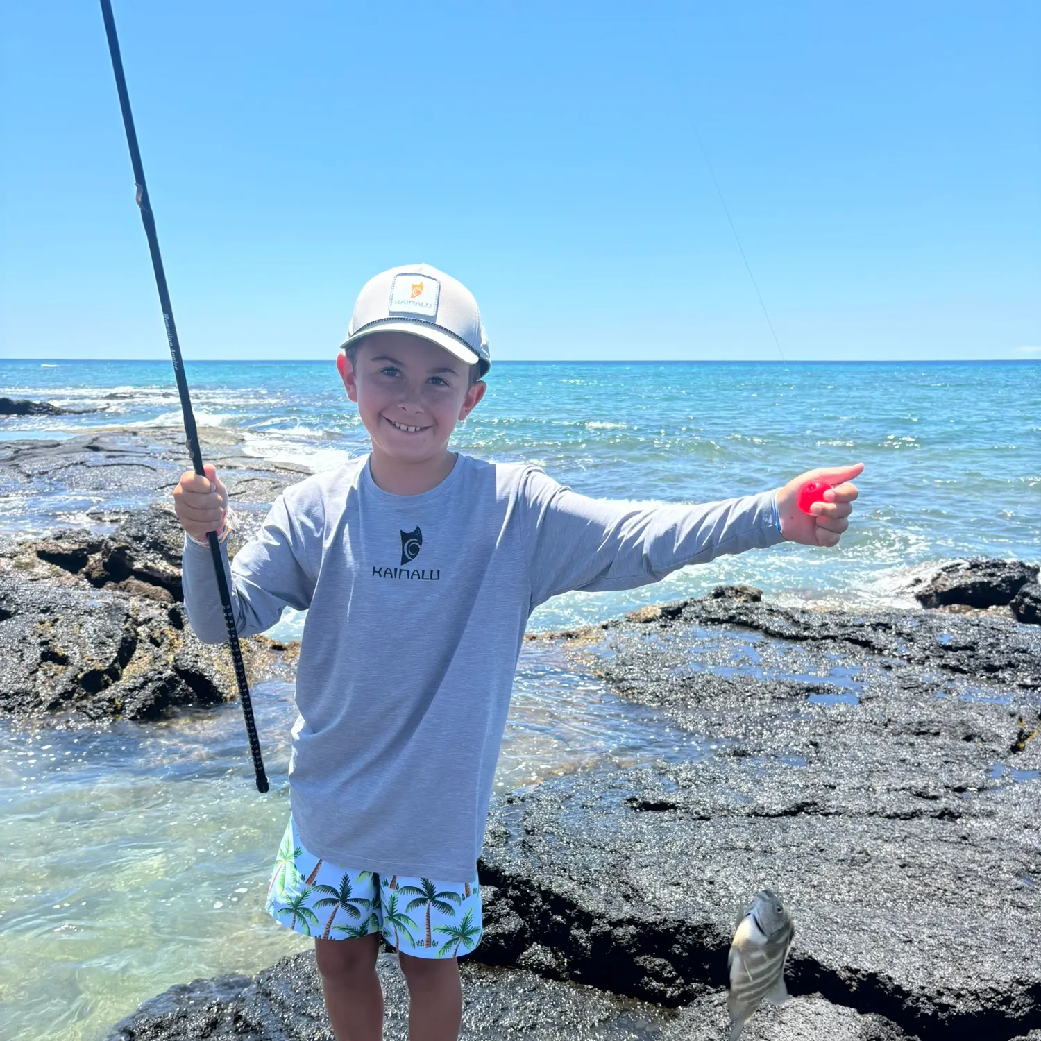 The most recent Pacific spadefish catches on Fishbrain