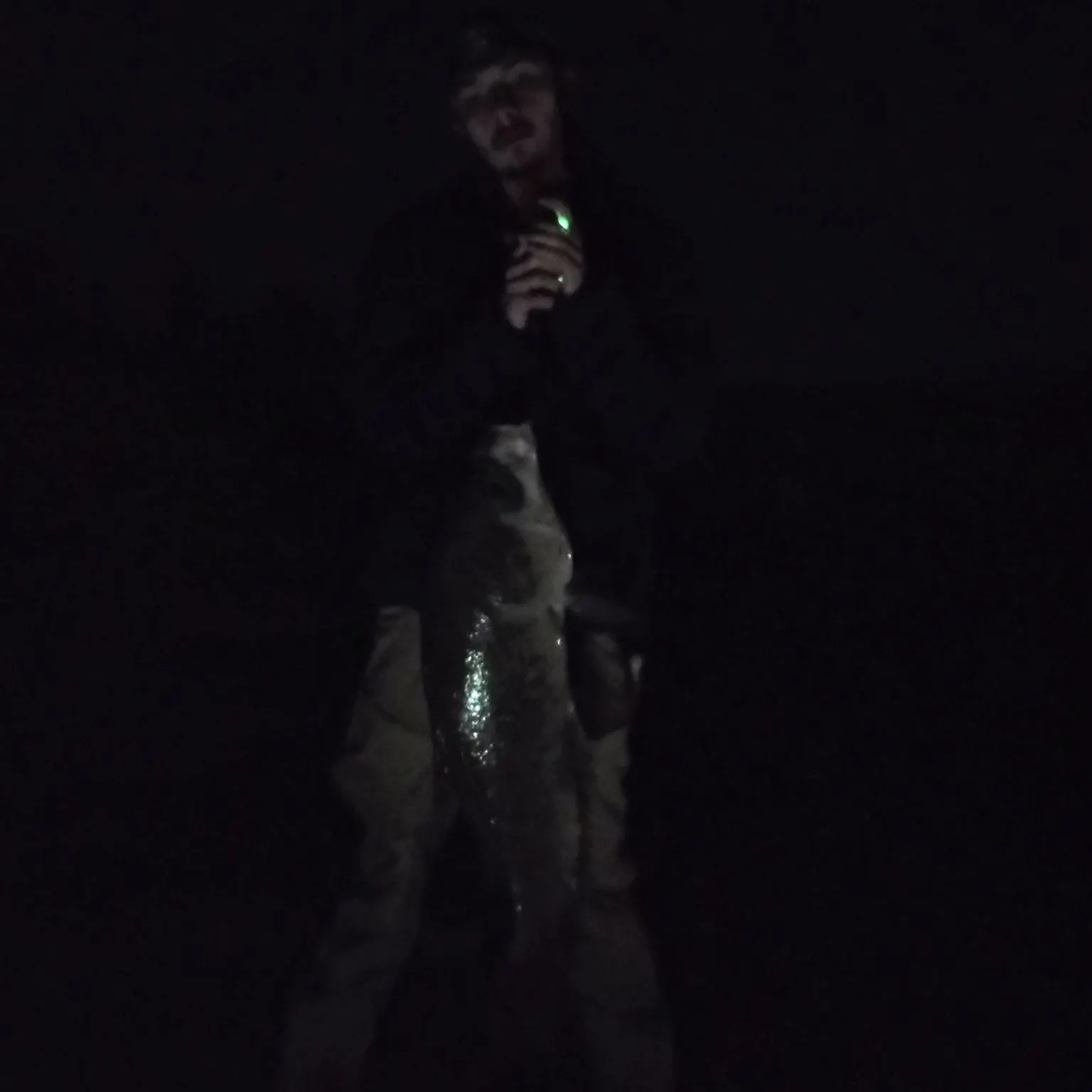 The most recent Bigmouth buffalo catches on Fishbrain