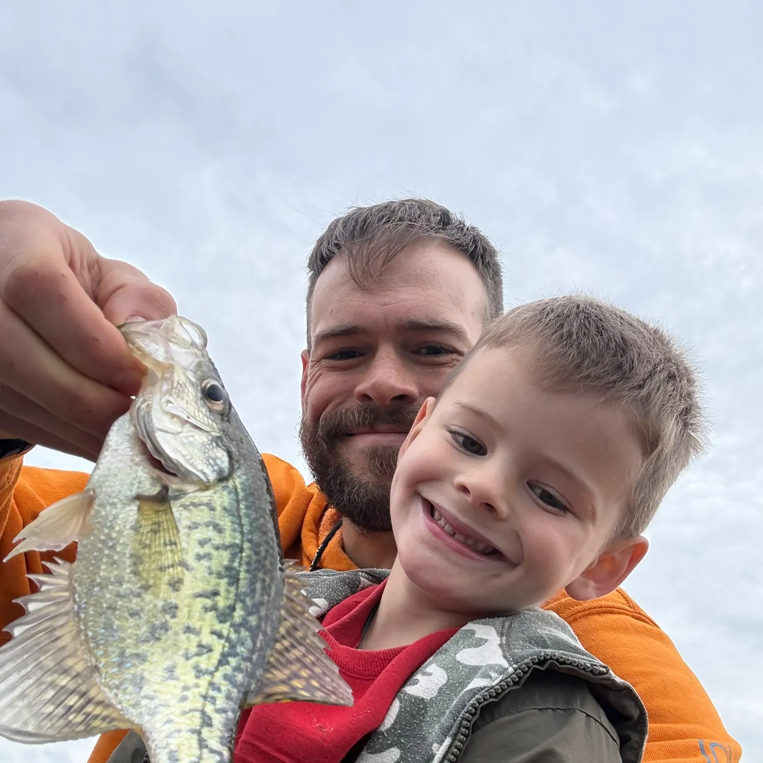 Black crappie caught on Fishbrain