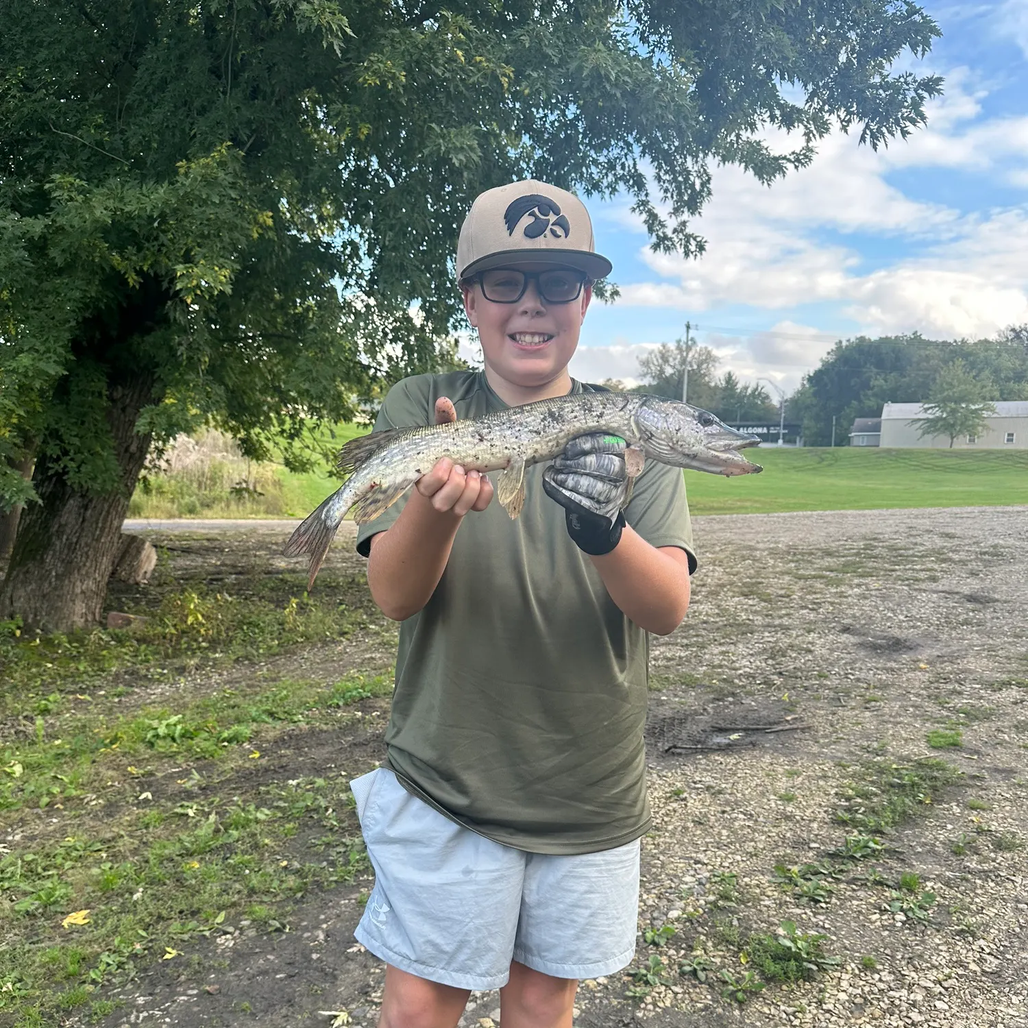 Northern pike caught on Fishbrain