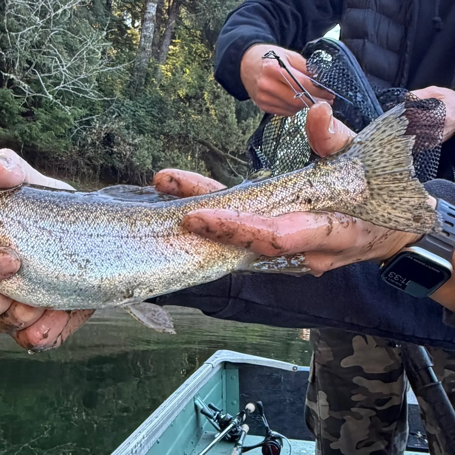 Rainbow trout caught on Fishbrain