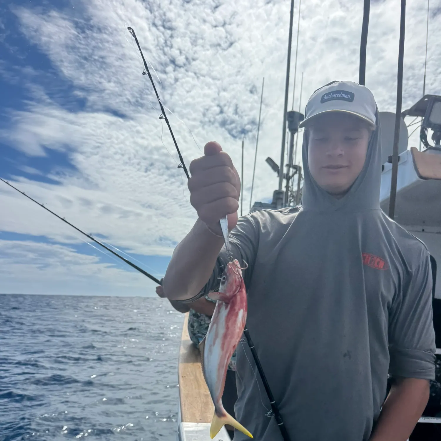 The most recent California yellowtail amberjack catches on Fishbrain
