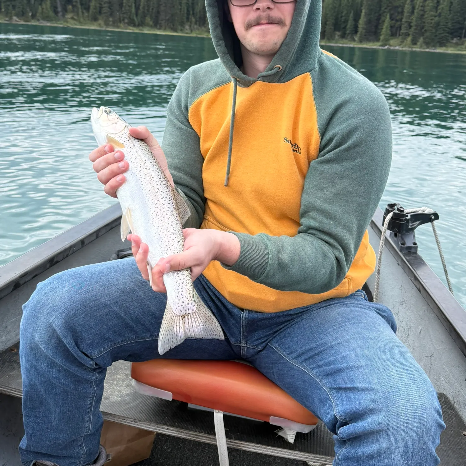 Brown trout caught on Fishbrain