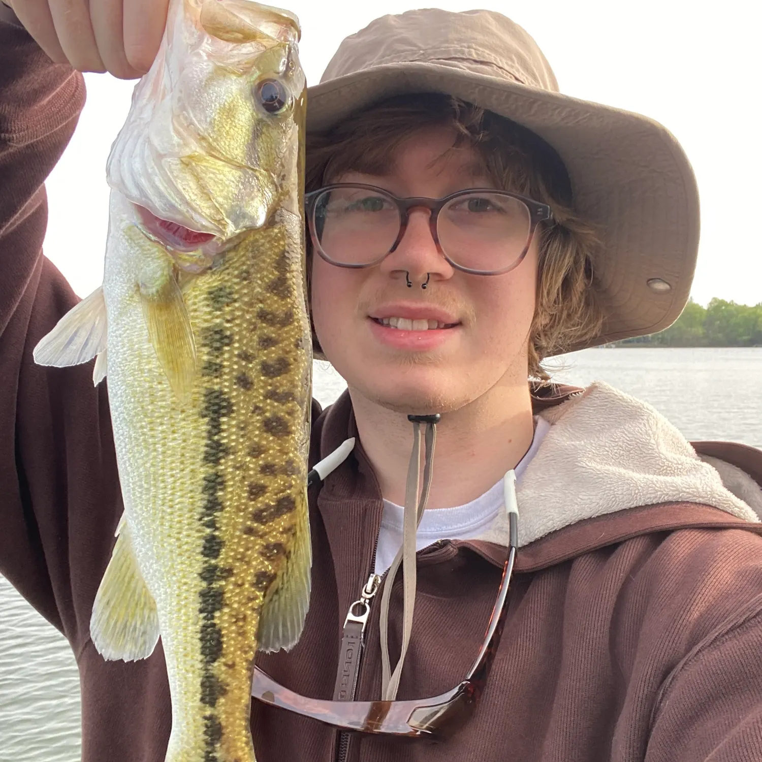 The most recent Alabama bass catches on Fishbrain