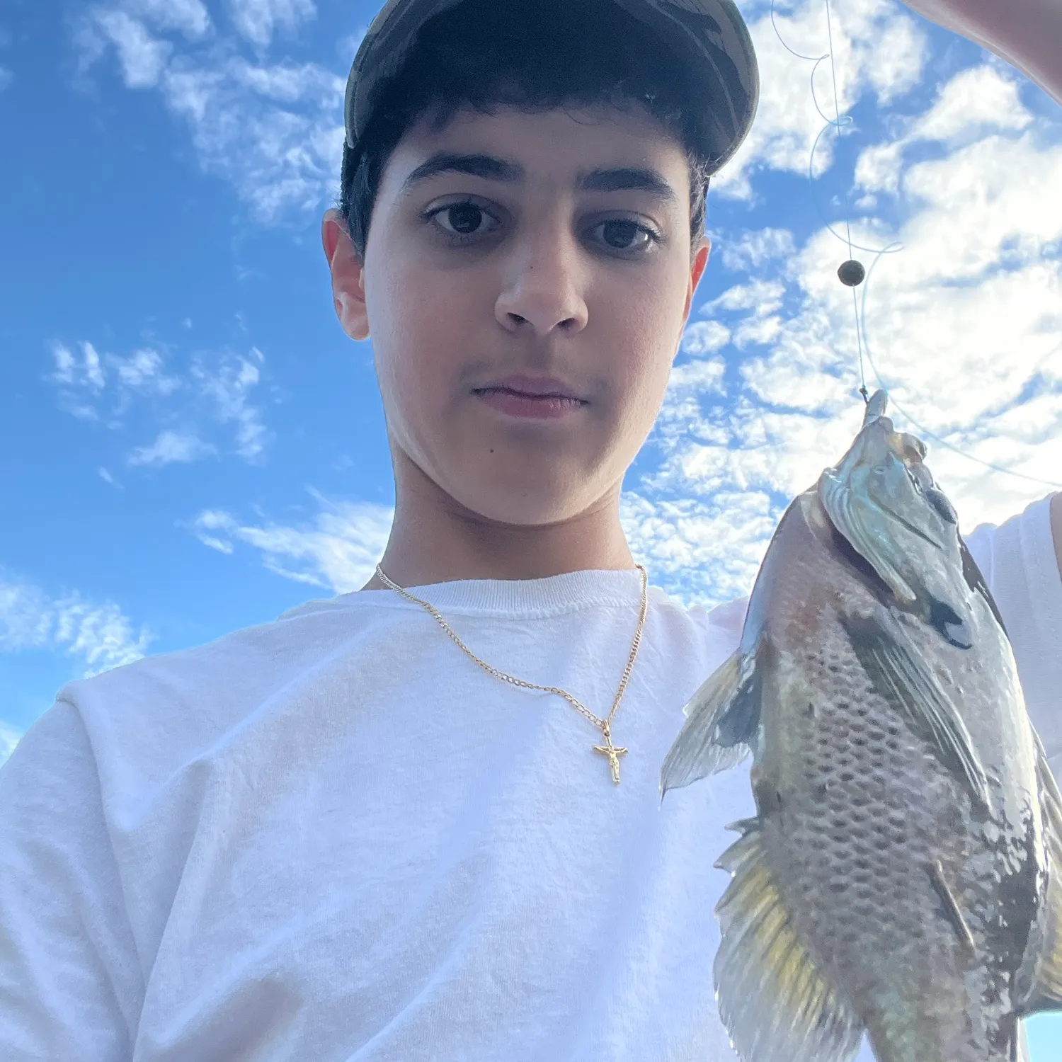Bluegill caught on Fishbrain
