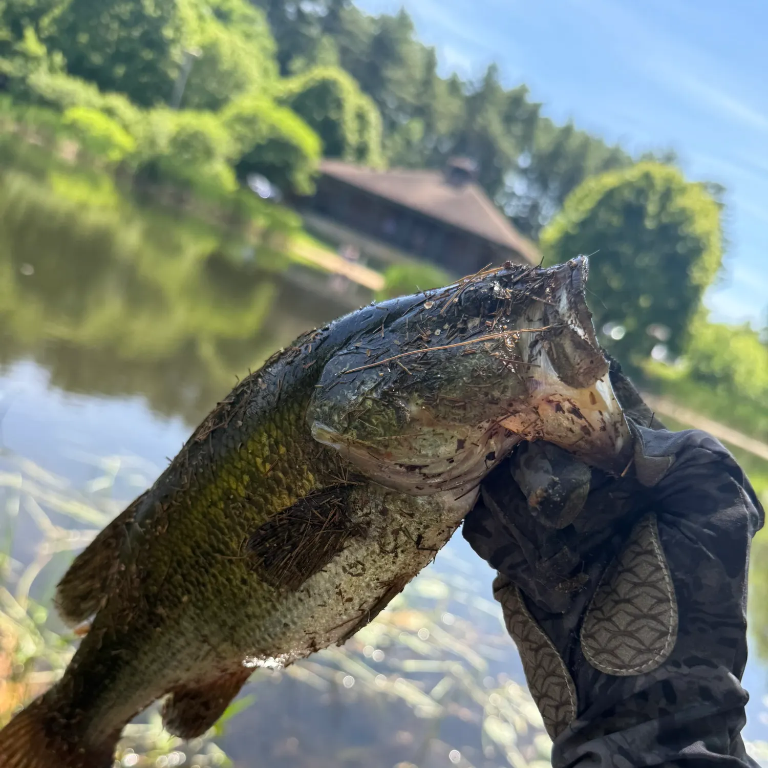 catch