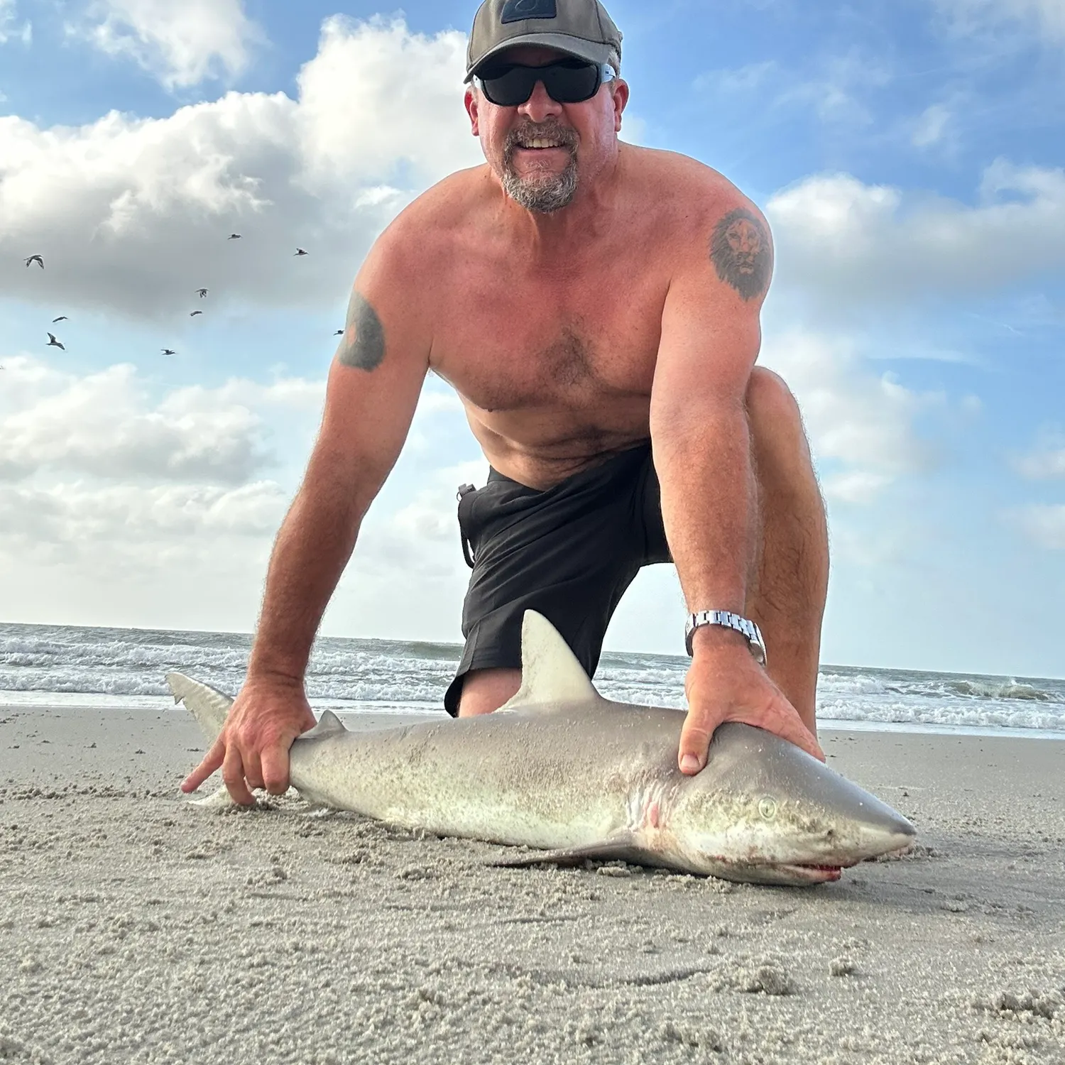 The most recent Finetooth shark catches on Fishbrain