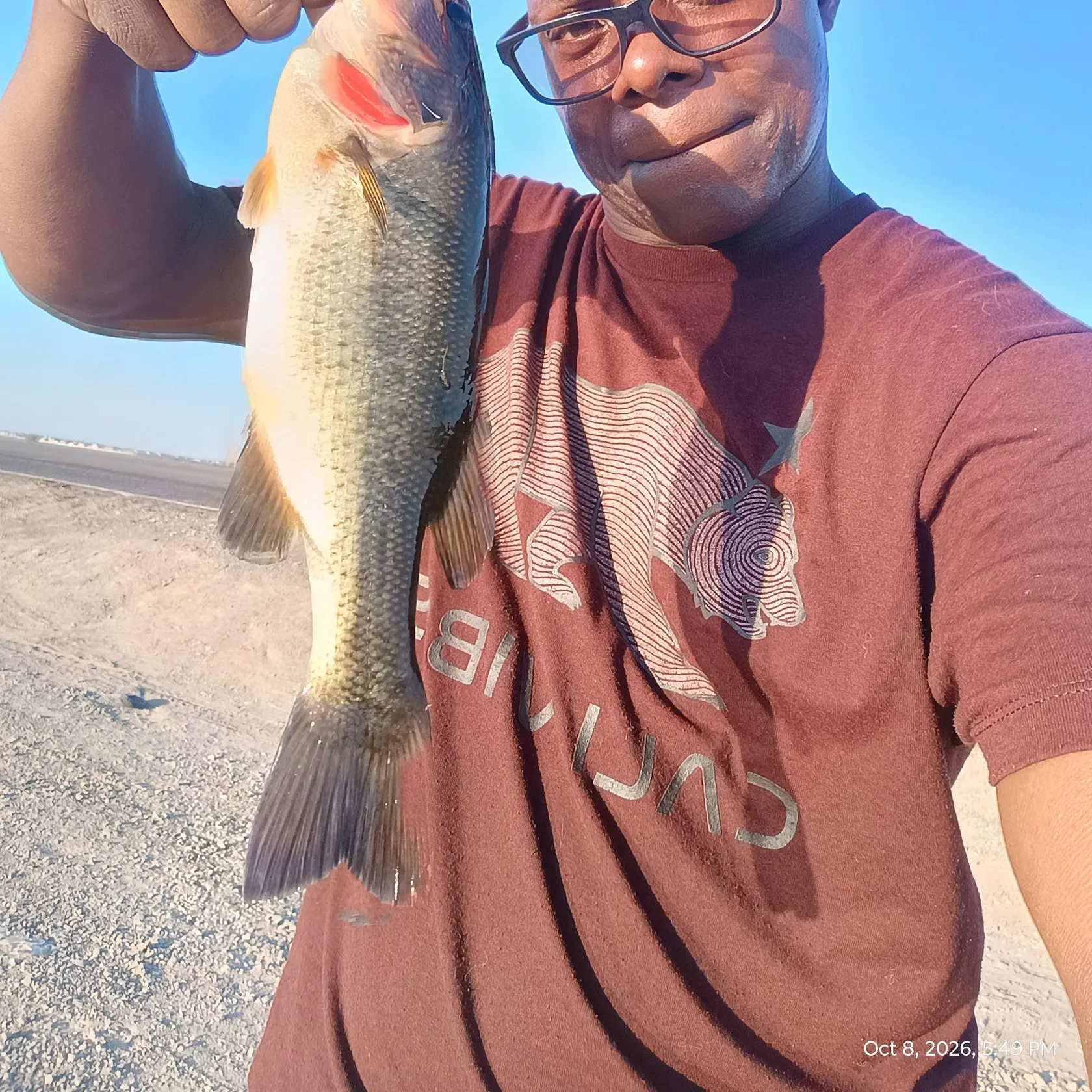 Largemouth bass caught on Fishbrain