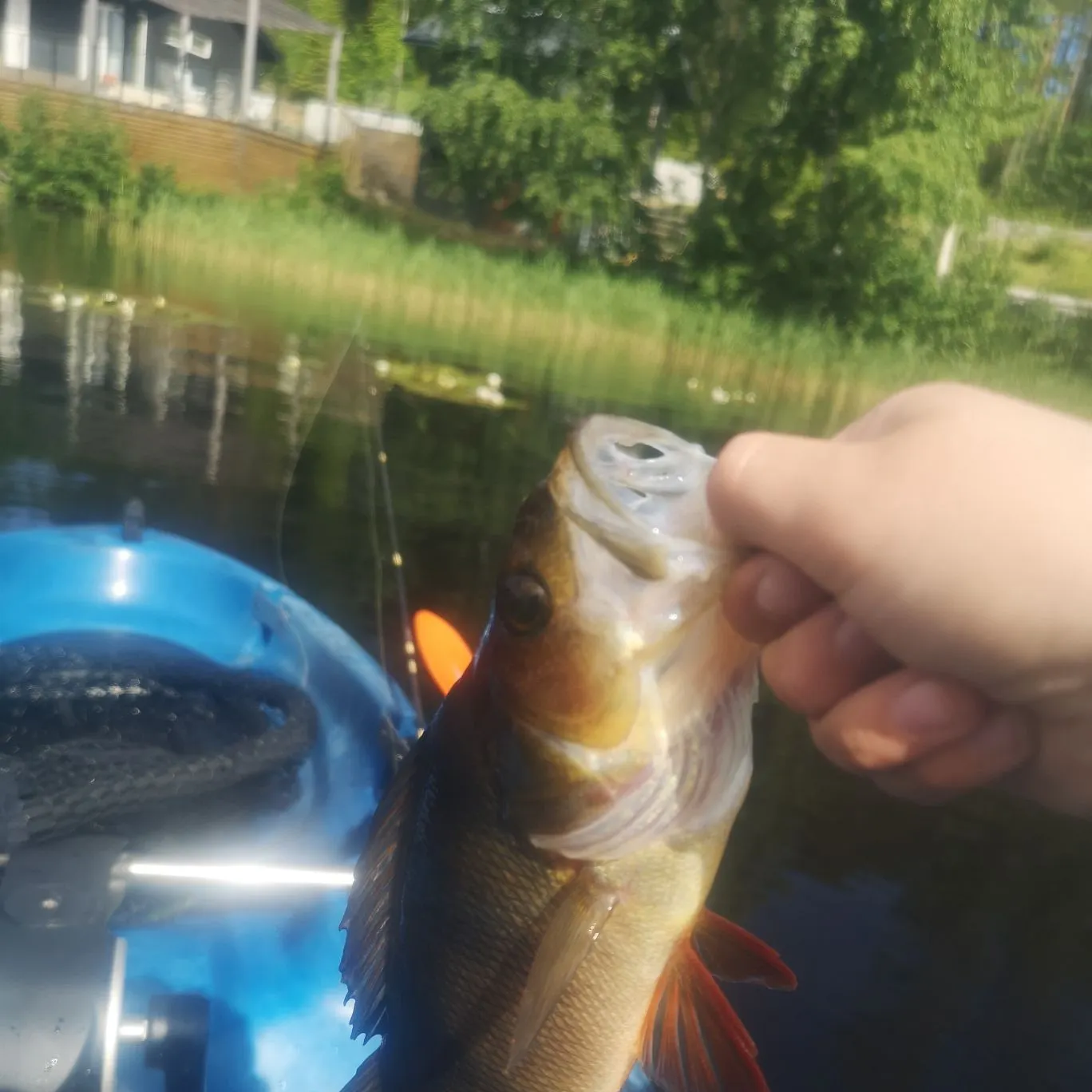 catch