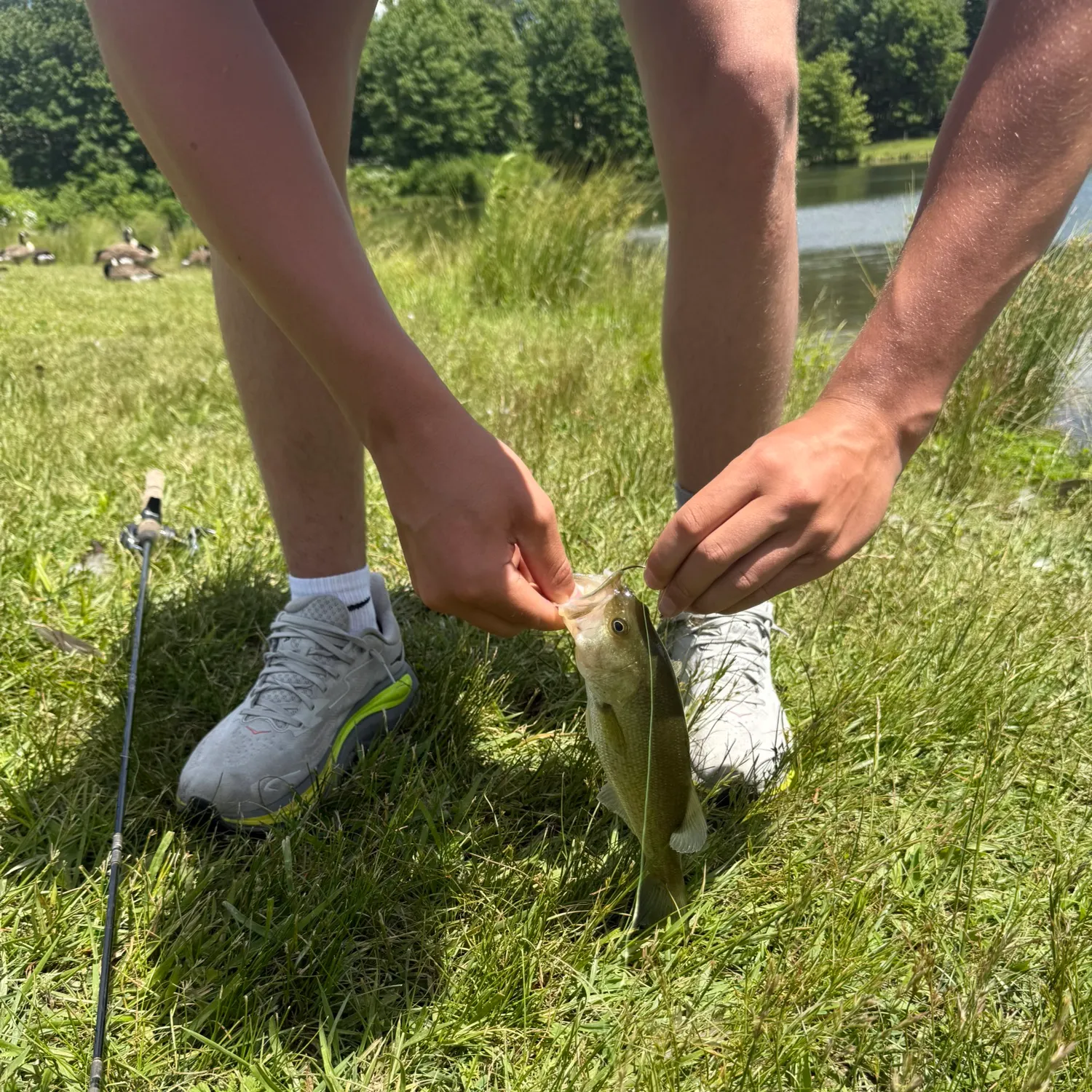 catch